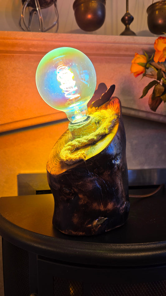 Rainbow Glow Rustic Wood Lamp – Unique Colorful Handmade Light