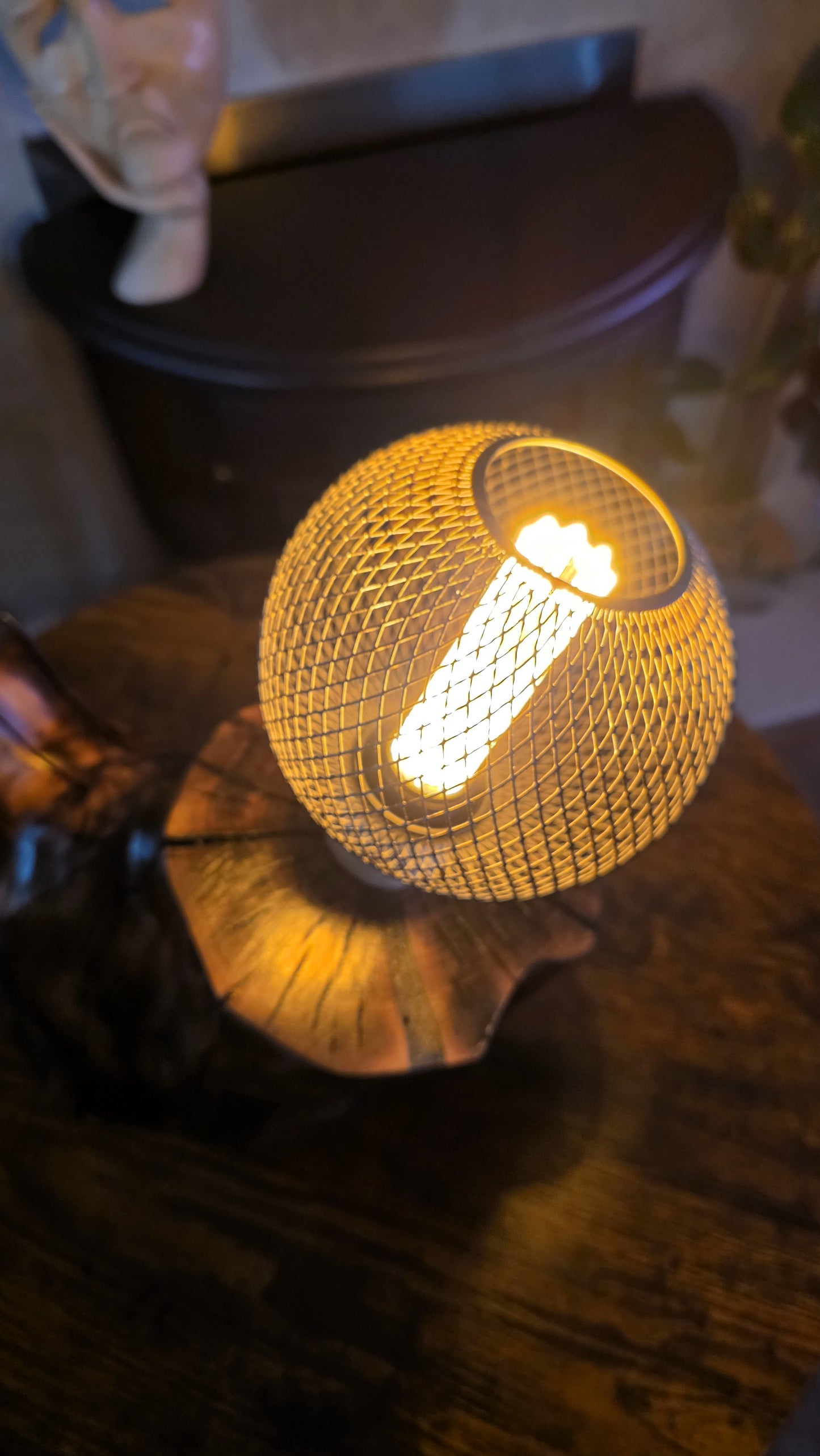 Rustic Mesh Globe Lamp – Handcrafted Apple Wood Table Lamp with Vintage LED Bulb 🪵⚫💡