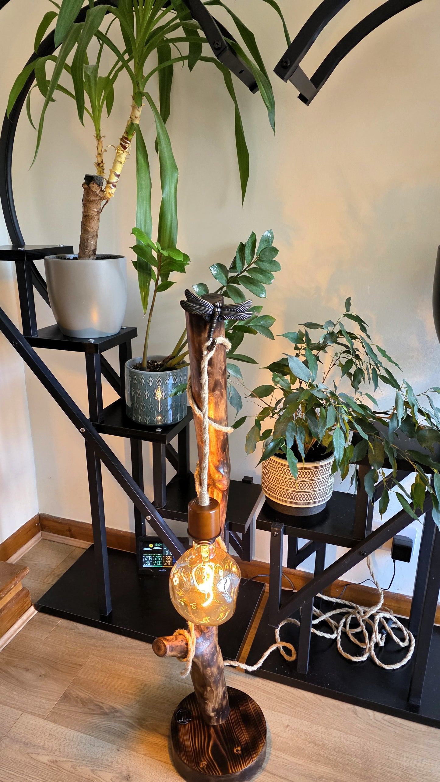 Dragonfly Glow – One-of-a-Kind Rustic Floor Lamp ✨