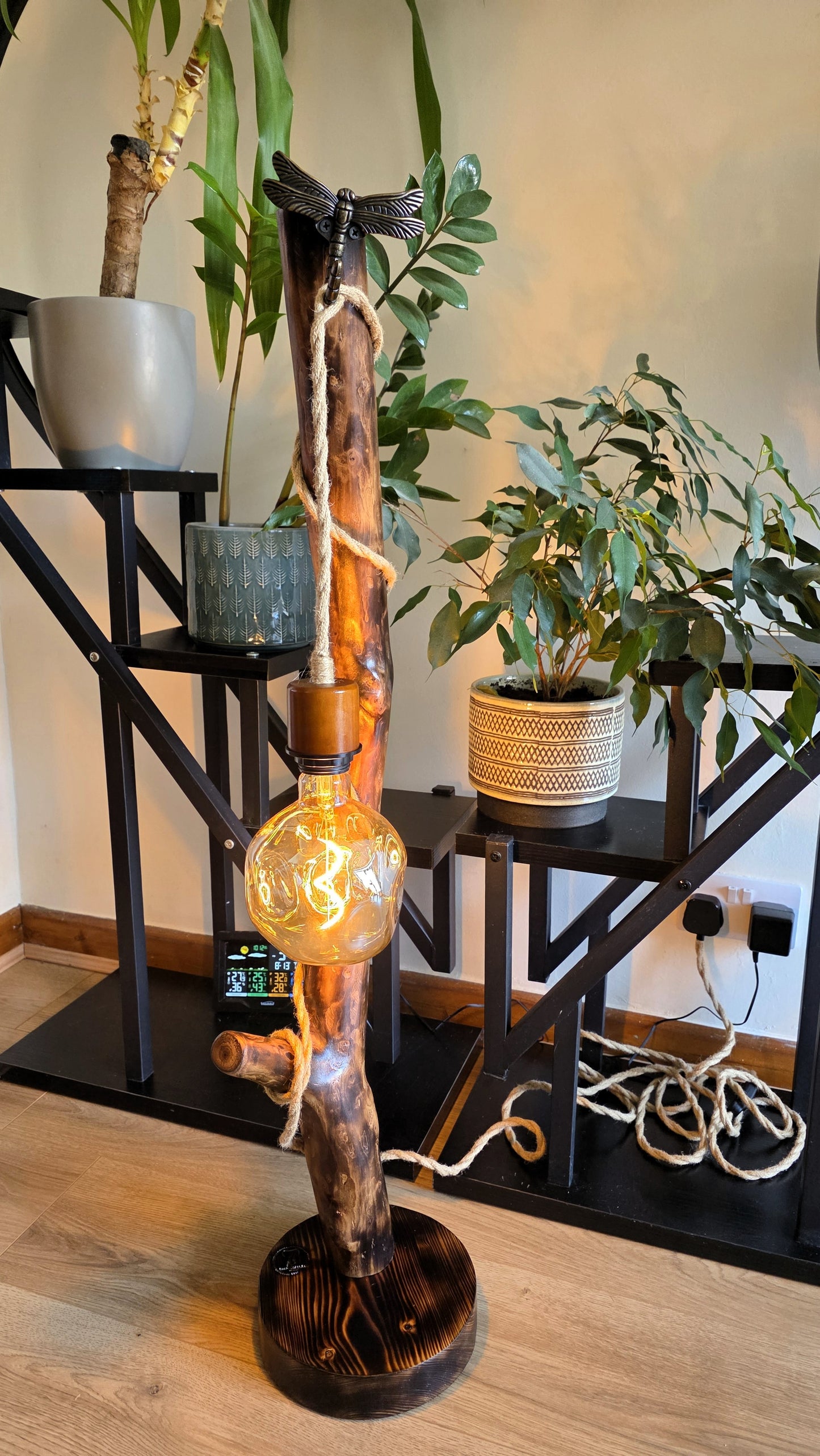 Dragonfly Glow – One-of-a-Kind Rustic Floor Lamp ✨