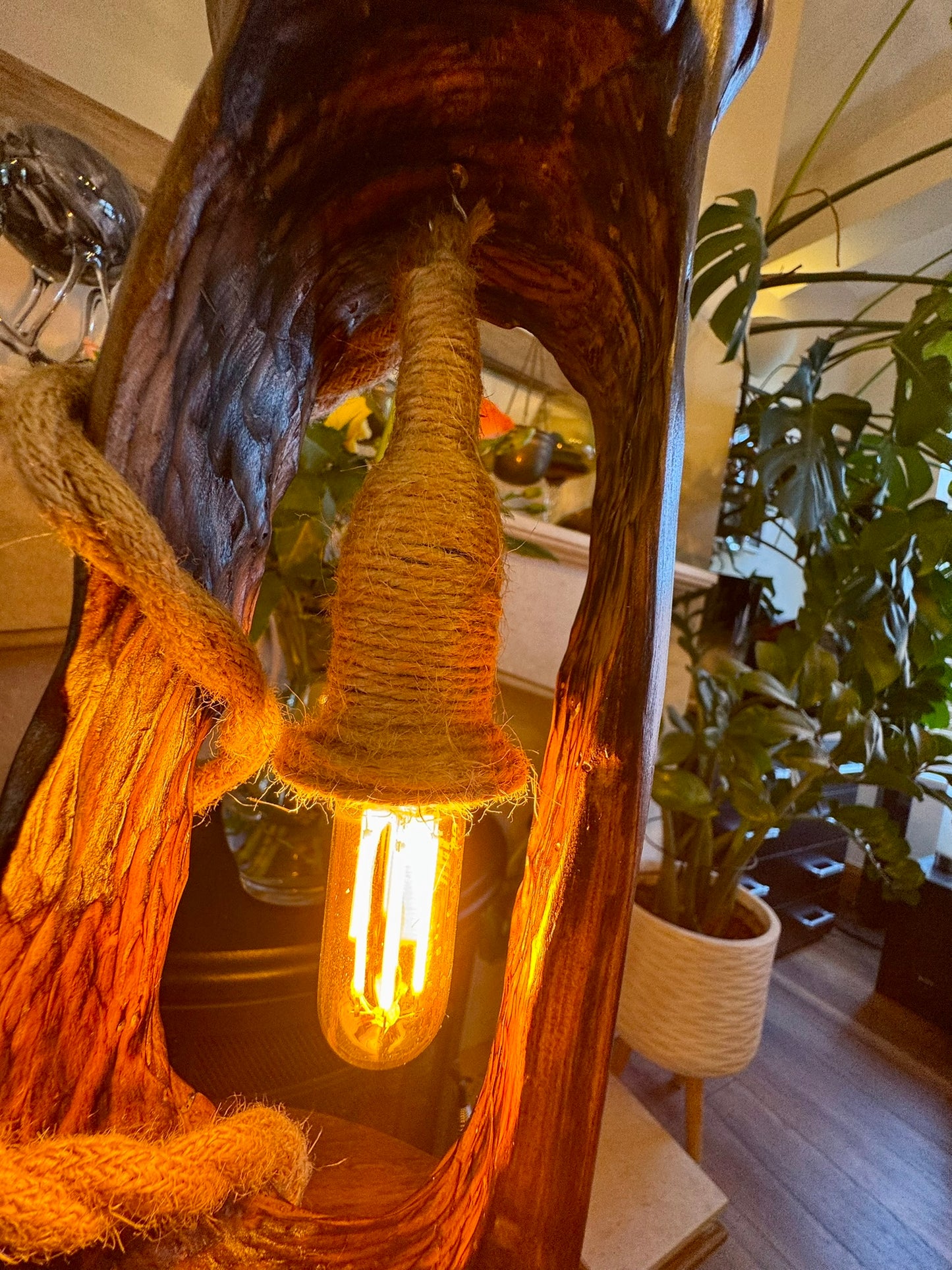 "Handcrafted Branch Lamp – Natural Wood Sculpture with Rope & Edison Bulb"