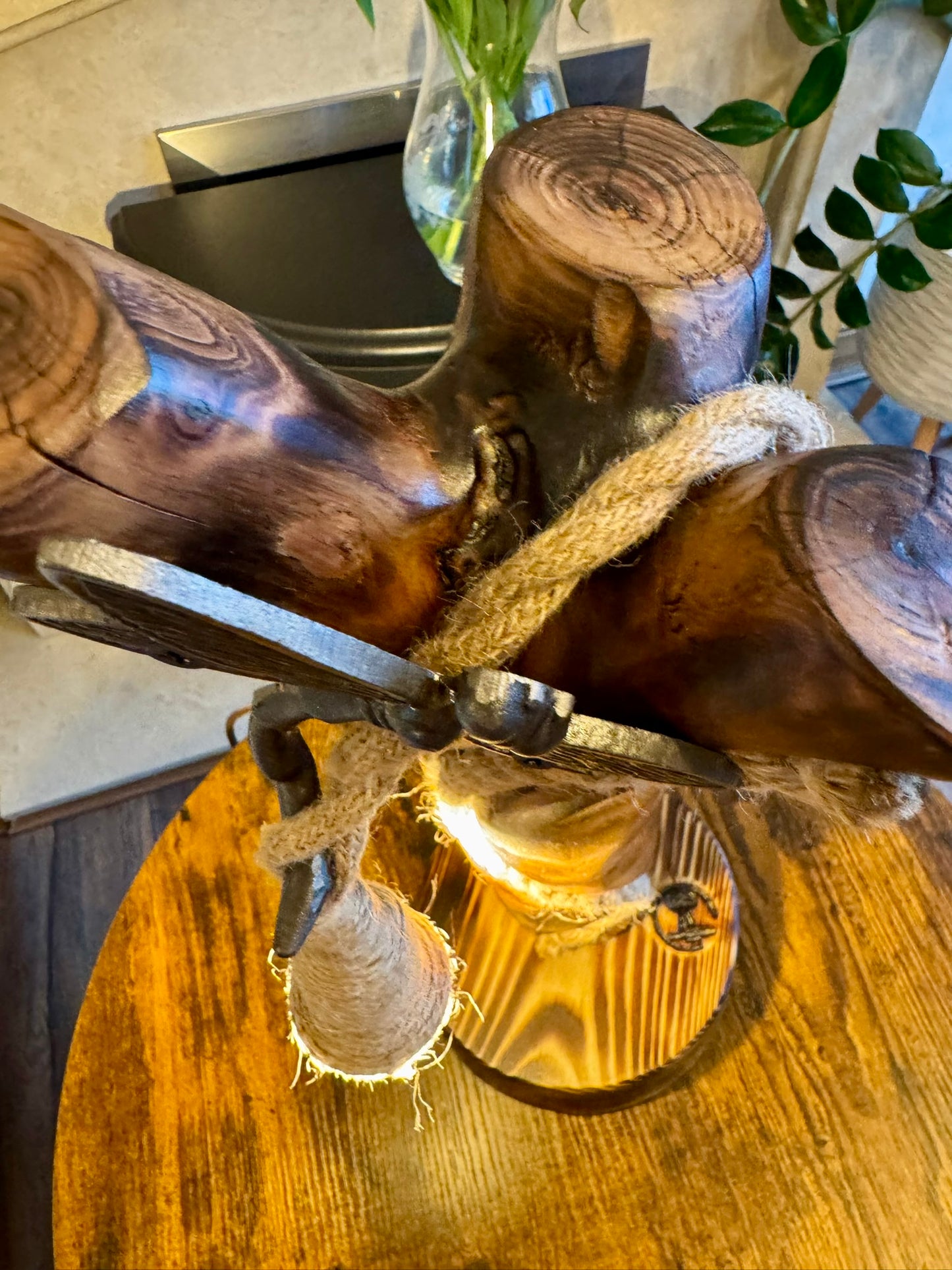 Handmade Applewood Lamp with Dragonfly Accent 🍏🪵✨